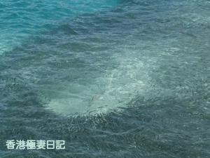 f0190653_1755261.gif