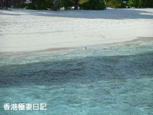 f0190653_9453675.jpg