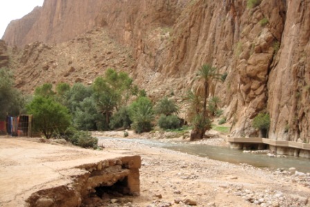 b0173754_145124.jpg