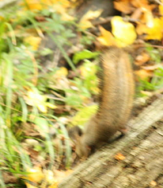 f0077054_23434986.jpg