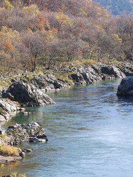 b0165760_15531478.jpg
