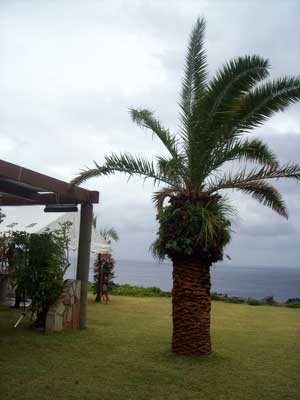 e0097770_23303127.jpg