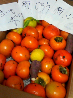 f0140174_13531978.jpg