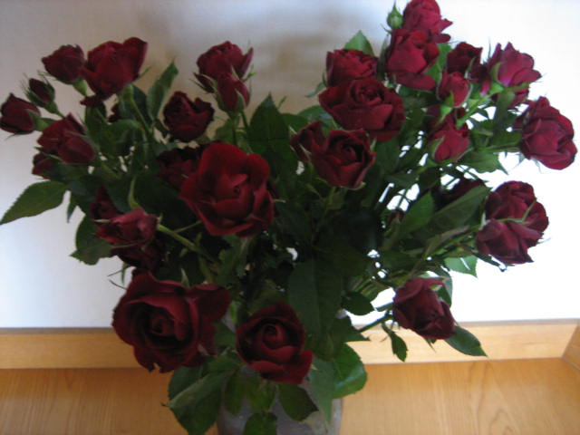 e0189375_9423436.jpg