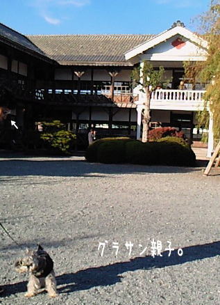 f0145575_2204054.jpg