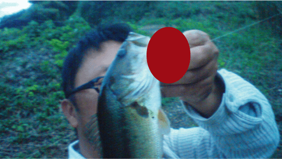 a0040876_20462952.gif
