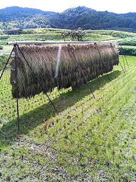f0054677_931238.jpg