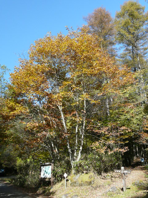 e0145782_1937175.jpg