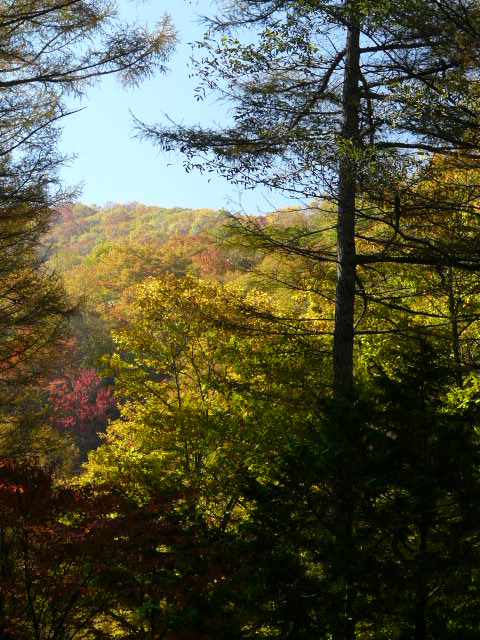 e0145782_19373910.jpg