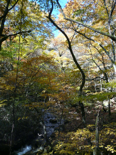 e0145782_1938048.jpg