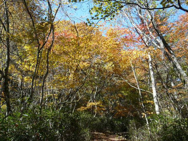 e0145782_19384317.jpg