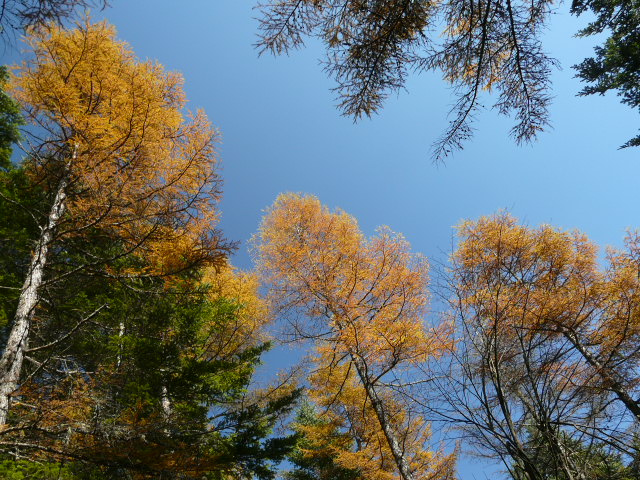 e0145782_19394245.jpg