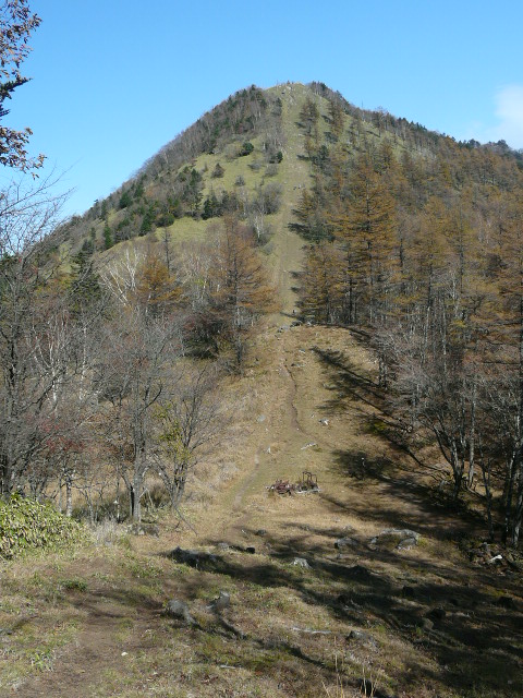 e0145782_19402834.jpg