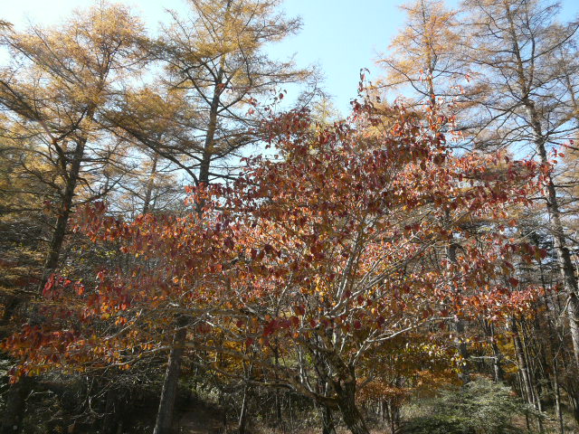 e0145782_1940486.jpg