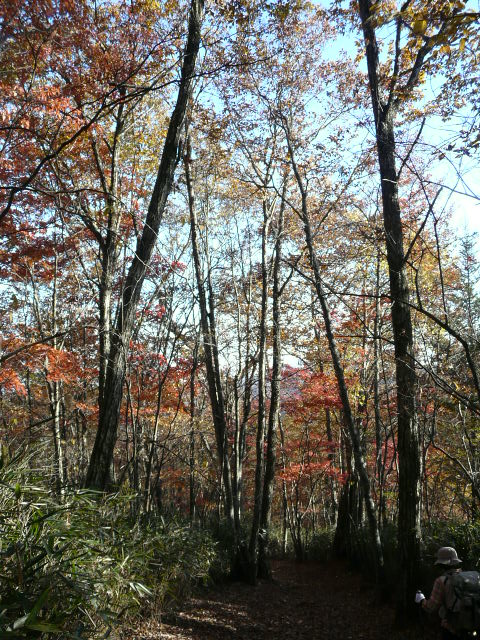 e0145782_19441310.jpg