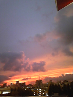 c0029190_20101624.jpg