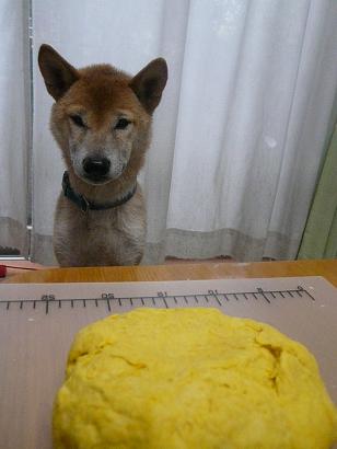 c0123890_2029389.jpg