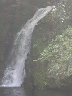 b0164291_141489.jpg