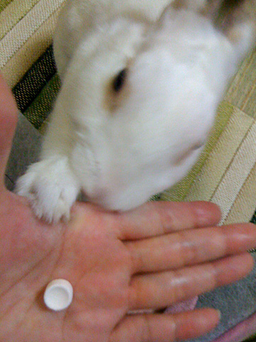 f0201191_1621097.jpg