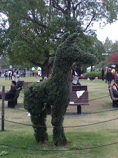f0010195_1753869.jpg