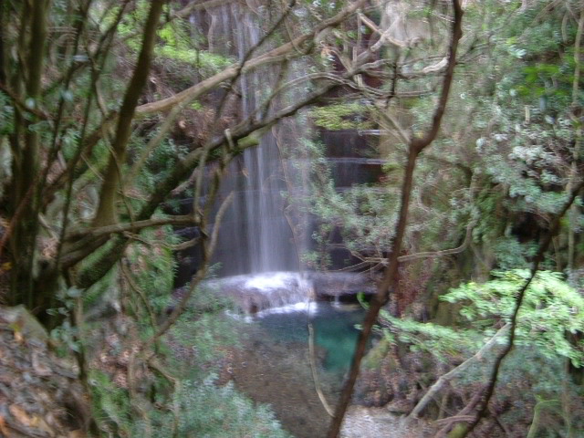 b0044296_1033677.jpg