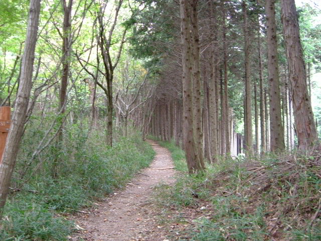 b0044296_10452787.jpg