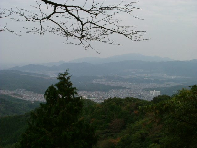 b0044296_1048398.jpg