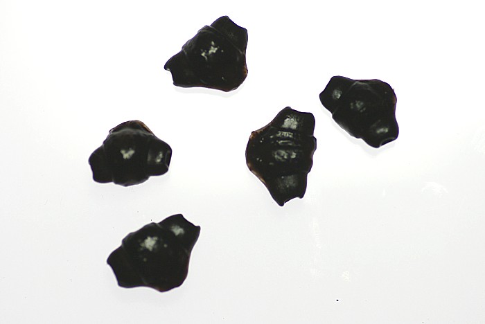 c0165301_10425691.jpg