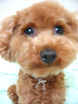 c0110906_19281622.jpg