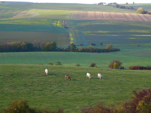 d0135907_21453715.jpg