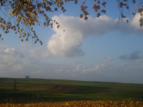d0135907_21464313.jpg