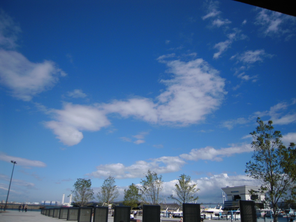 c0132608_20334034.jpg
