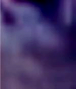 e0103408_14374946.gif
