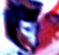 e0103408_14385856.gif