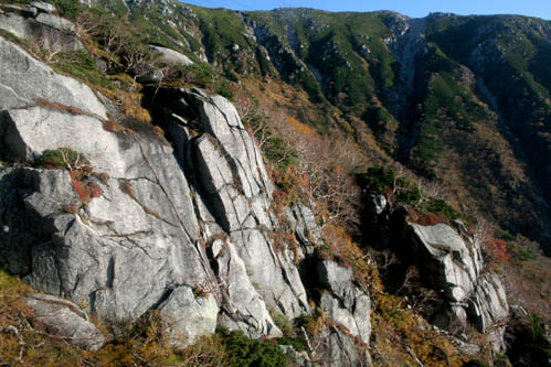 c0011009_13521628.jpg