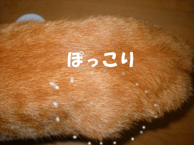 a0135010_18533648.gif
