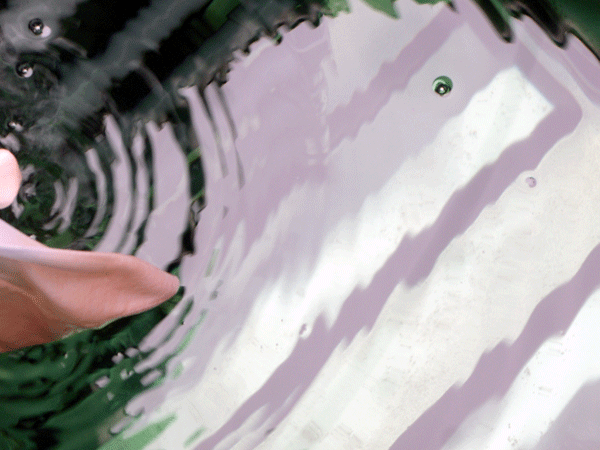 b0159611_015536.gif