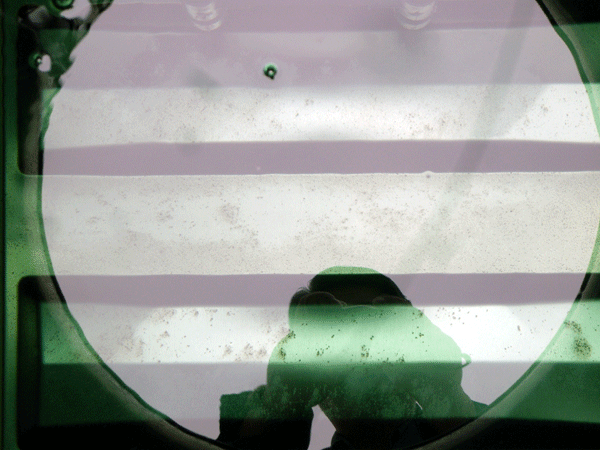 b0159611_022389.gif