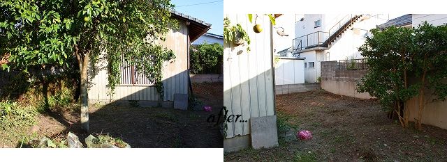 c0116312_12135687.jpg