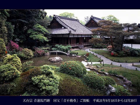 d0111216_2214675.jpg