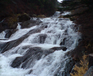c0149717_23382743.jpg