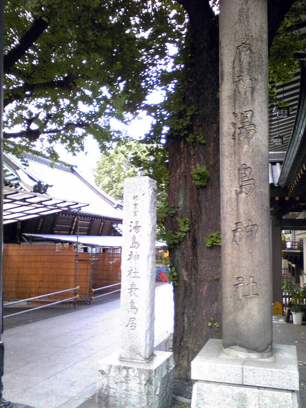 f0186021_7251229.jpg