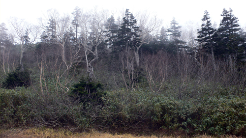 f0060424_2345921.jpg