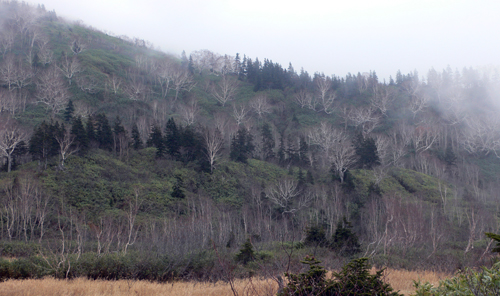 f0060424_23481731.jpg