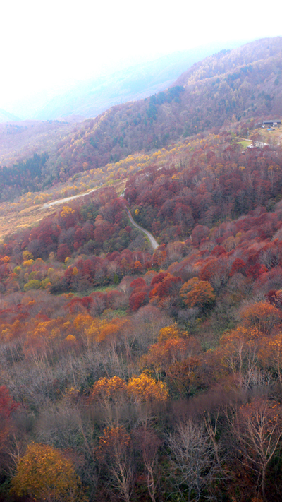 f0060424_2384810.jpg