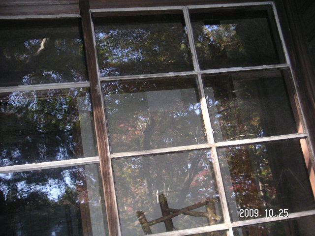 a0020929_164592.jpg
