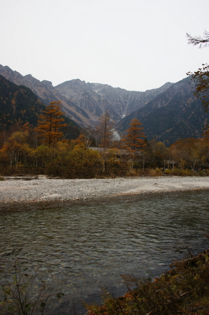 f0095431_2313866.jpg