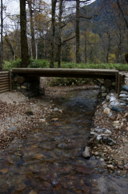 f0095431_2322113.jpg