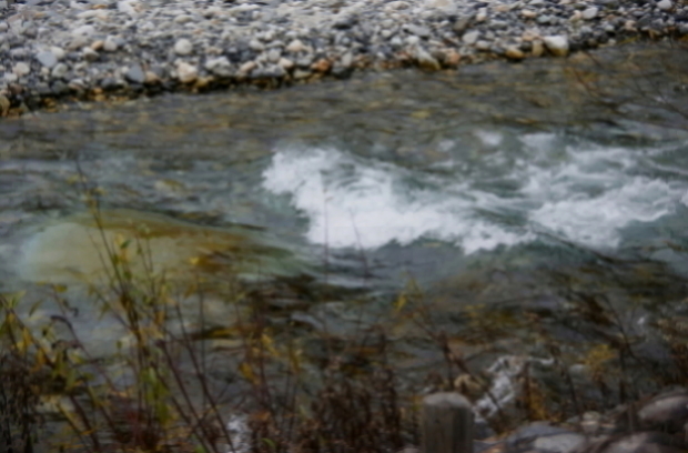 f0095431_2331270.jpg