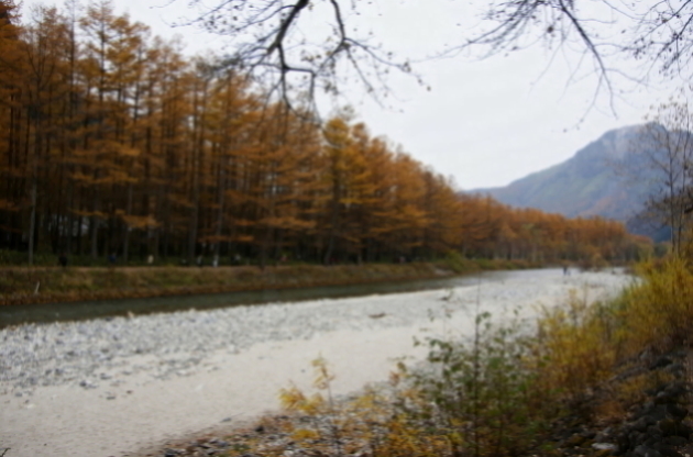 f0095431_2334598.jpg